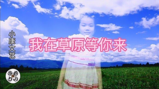 歌曲《我在草原等你来》,轻快活泼,放飞心灵