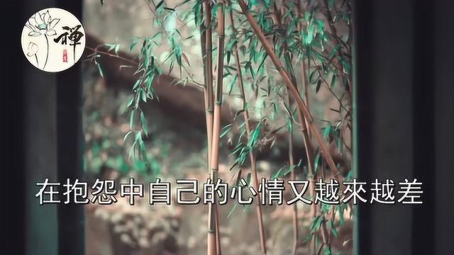 佛禅:当遇到麻烦时,怎样做才能化解HD