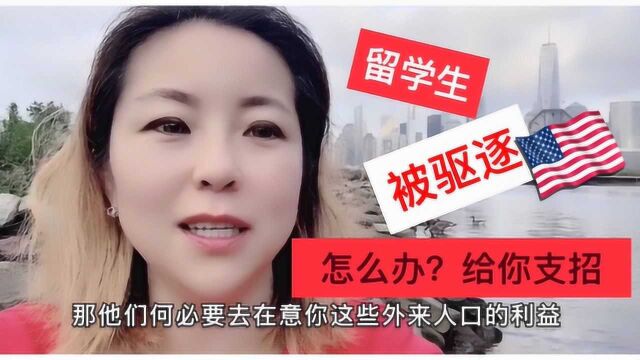 美国留学生新政,网课面临被驱逐出境?在美留学生及老师给你支招