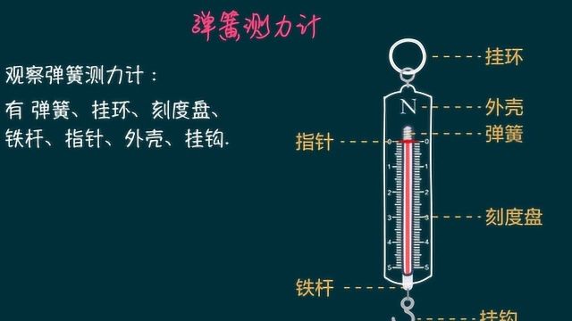 初中物理 实验常考 | 【力】:弹簧测力计