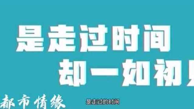 社会百态——都市情缘