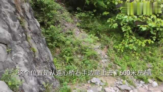 重庆巫溪县大峡巫盐古道,绝壁奇峰,峭壁陡立,太壮观了