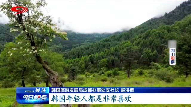 2020四川国际文化旅游节乐山启幕