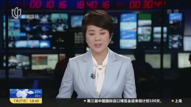 毕马威:进博为媒 加速长三角版图布局