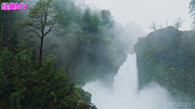 经典音乐,一首《等一个人》嗓音忧伤动情,柔情绵绵