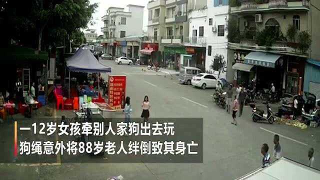 老人被狗绳绊倒身亡:家属称不追责,不想再提及此事!