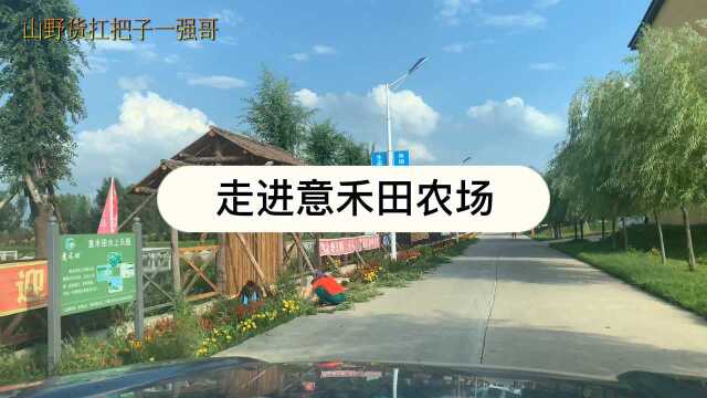 吉林最新网红打卡地,科尔沁部落烤全羊涮羊肉,感受蒙古人的豪爽