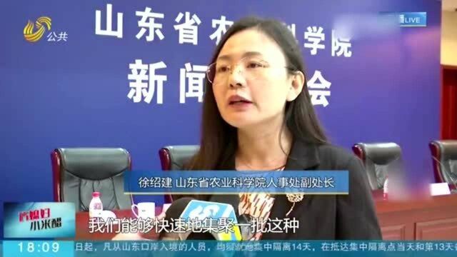 创新制度!山东省农科院聘任知名企业高管担任“产业研究员”