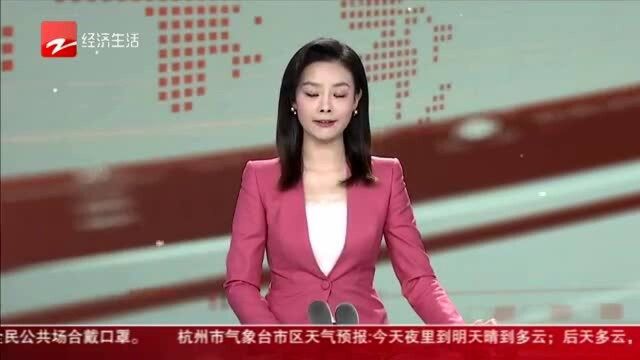 《法治的力量:法治——核心竞争力的标志》23号晚播出