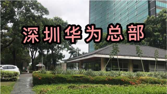 实拍任正非的深圳华为总部,连美国都害怕的科技公司,中国的骄傲