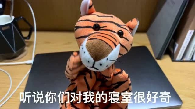 我的大学寝室到底是怎么样的呢?