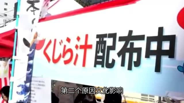 为什么日本坚持多年捕鲸?还直言:保护海洋资源,真正意图值得世界各国警惕