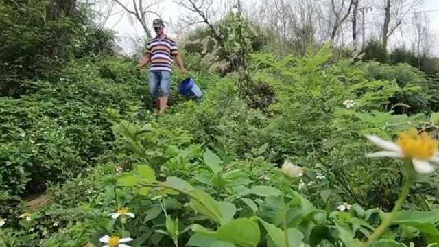 上百一斤的“冬虫夏草”没人要!赶海捡漏,这么多不得发财