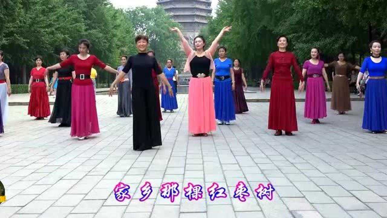 玲珑广场舞红枣树崔老师领舞美女多多