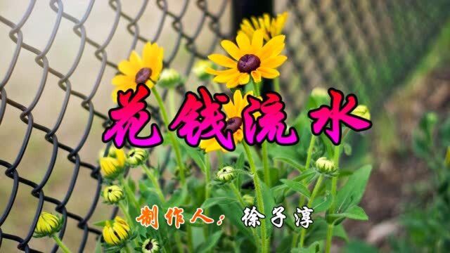 2018火了!一首《花钱流水》太现实太搞笑了,男人女人都听听