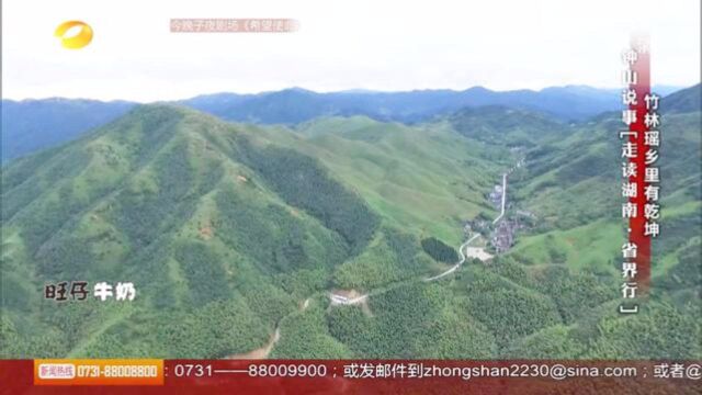 走进麻林瑶族乡,漫山竹海青翠挺直,瑶乡特色令人欢喜