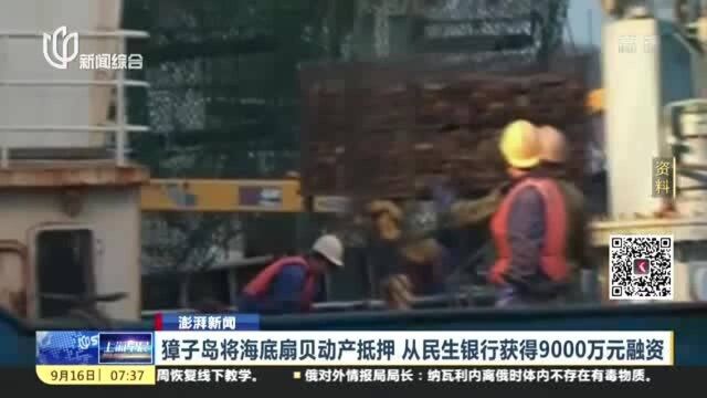 澎湃新闻:獐子岛将海底扇贝动产抵押 从民生银行获得9000万元融资