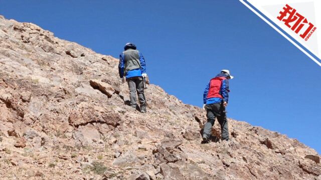 专家谈泥盆纪的“海洋霸主”:可以吃鲨鱼 是真正顶级的捕食动物