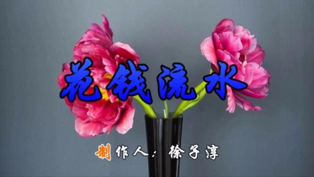 2018火了!一首《花钱流水》太现实太搞笑了,男人女人都听听!