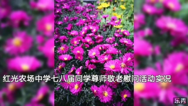 红光农场中学七八届同学尊师敬老慰问演出实录