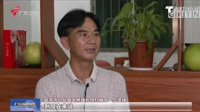 韶关仁化:红土地上长出致富“黄金果”