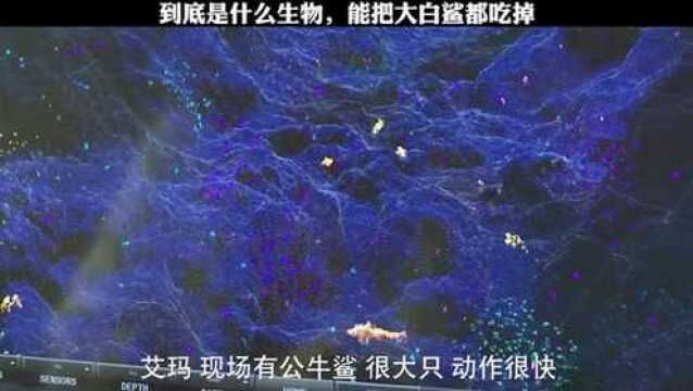 海底还有比大白鲨更凶残的生物吗?