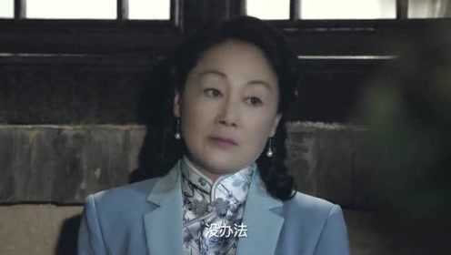 在桃花盛开的地方：县长夫人自作主张，欲将少花送给韩局长