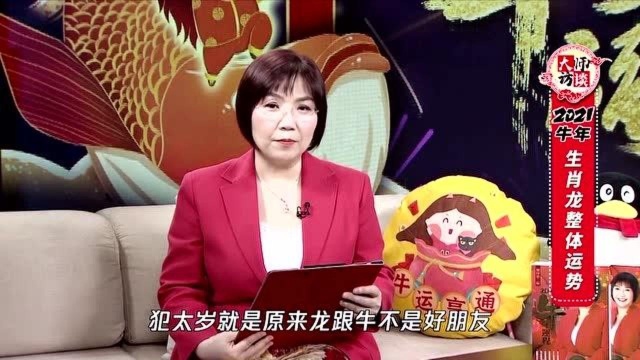 属龙人2021年运势如何?麦玲玲老师独家首发揭秘!