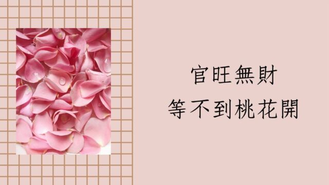 八字批命实例1044堂:八字官运旺却一直等无桃花