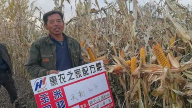 惠农之家 2020年 绥芬河 建新村 李玉东 天勤303