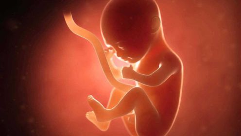 胎儿在妈妈子宫里为什么会是倒立的姿势呢？而且还不会轻易变换