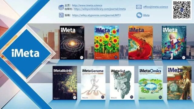 Thumbplayer Poster Plugin Image