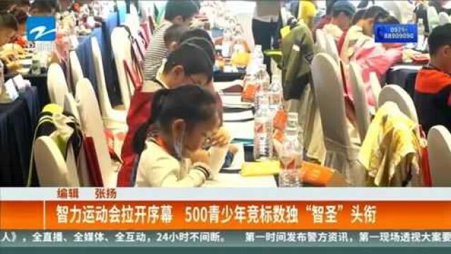 智力运动会拉开序幕 500青少年竞标数独“智圣”头衔