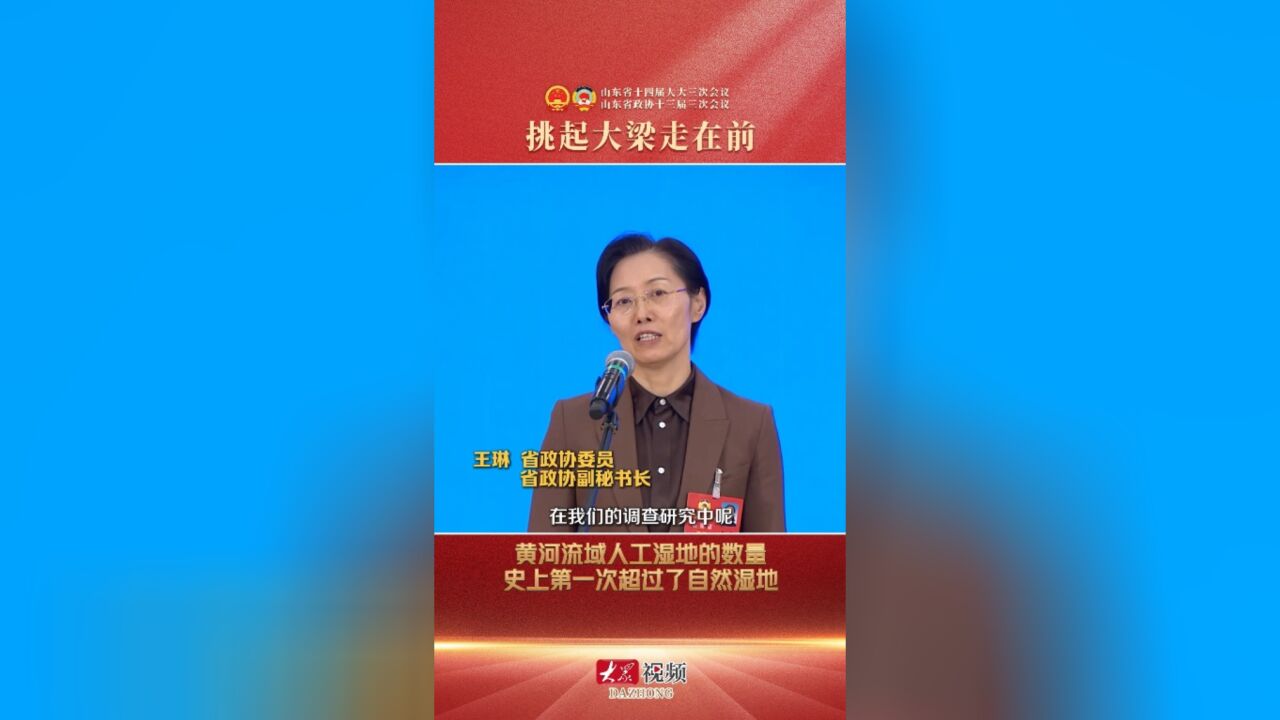 挑起大梁 有我一份|王琳:山东黄河流域人工湿地面积史上首次超过自然湿地面积