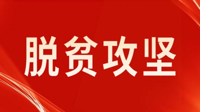 西宁向脱贫攻坚发起收官冲刺