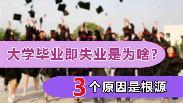 大学“毕业即失业”的原因是什么?与这3点有关,希望你不在其中