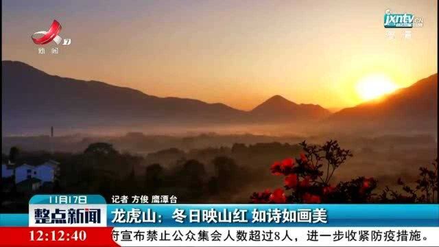 龙虎山:冬日映山红 如诗如画美