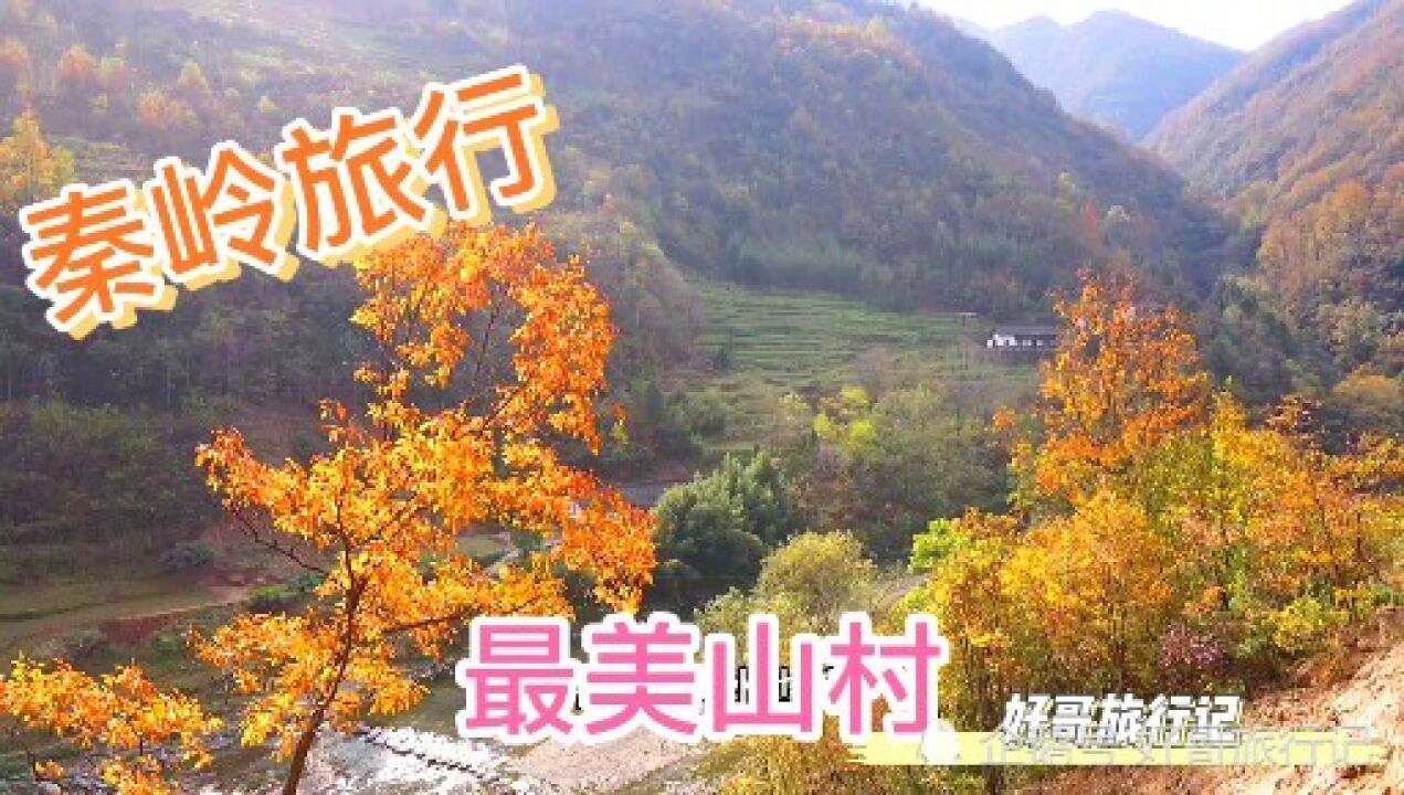 陕西秦岭一个小村子,依山傍水,这景色让人羡慕