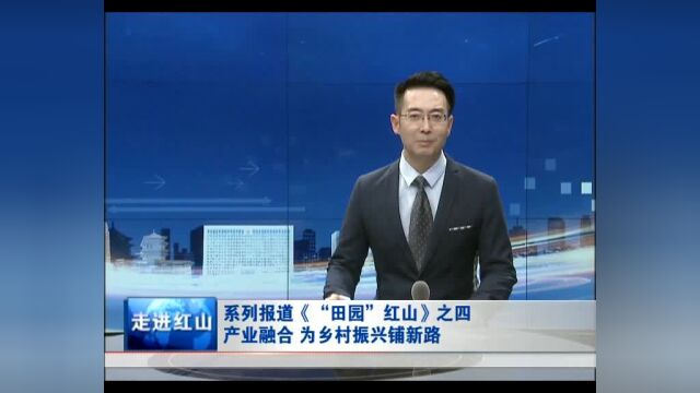 产业融合 为乡村振兴铺新路