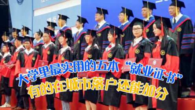 大学里最实用的五本“就业证书”,有的在城市落户还能加分