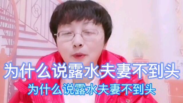 为什么说露水夫妻不到头?