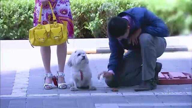 精彩影视这么有味道的视频不看会后悔