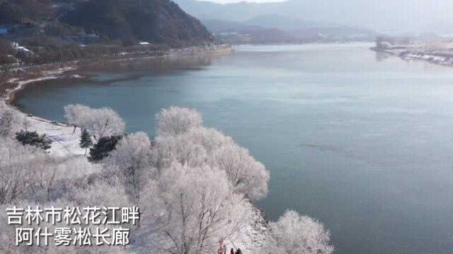 吉林市现雾凇奇观 银装素裹美不胜收