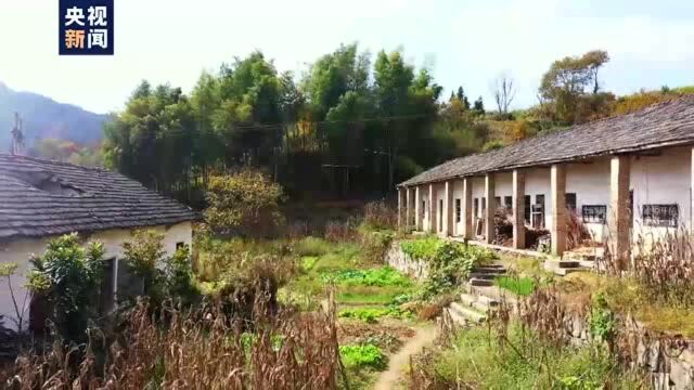 不比条件比读书!一起听听安徽潜山“博士村”里学生们的梦想