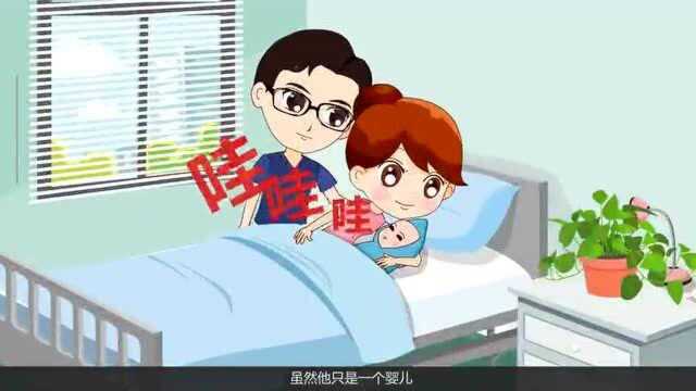 领创教育|学宪法,懂宪法!我校开展“宪法宣传周”主题教育班会