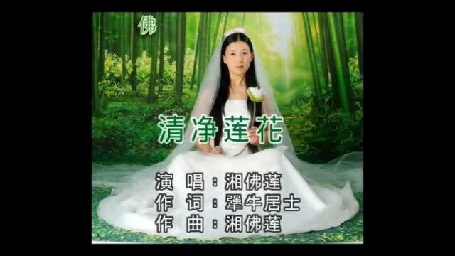 湘佛莲清净莲花