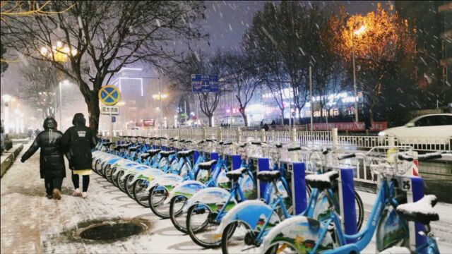 北京下雪啦!各区雪景合集来了~