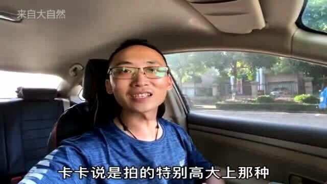 号称跑滴滴3款神车之一,滴滴司机分享真实用车体验,优缺点都不少