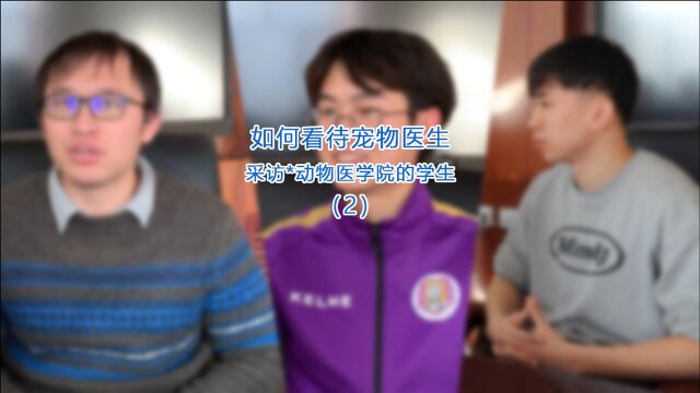 宠物医生访谈:本科5年不够用、收入大致56千、网红知识别轻信