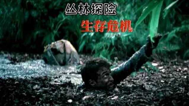 热带雨林探险,早晨醒来,头上长出包,故事由此开始